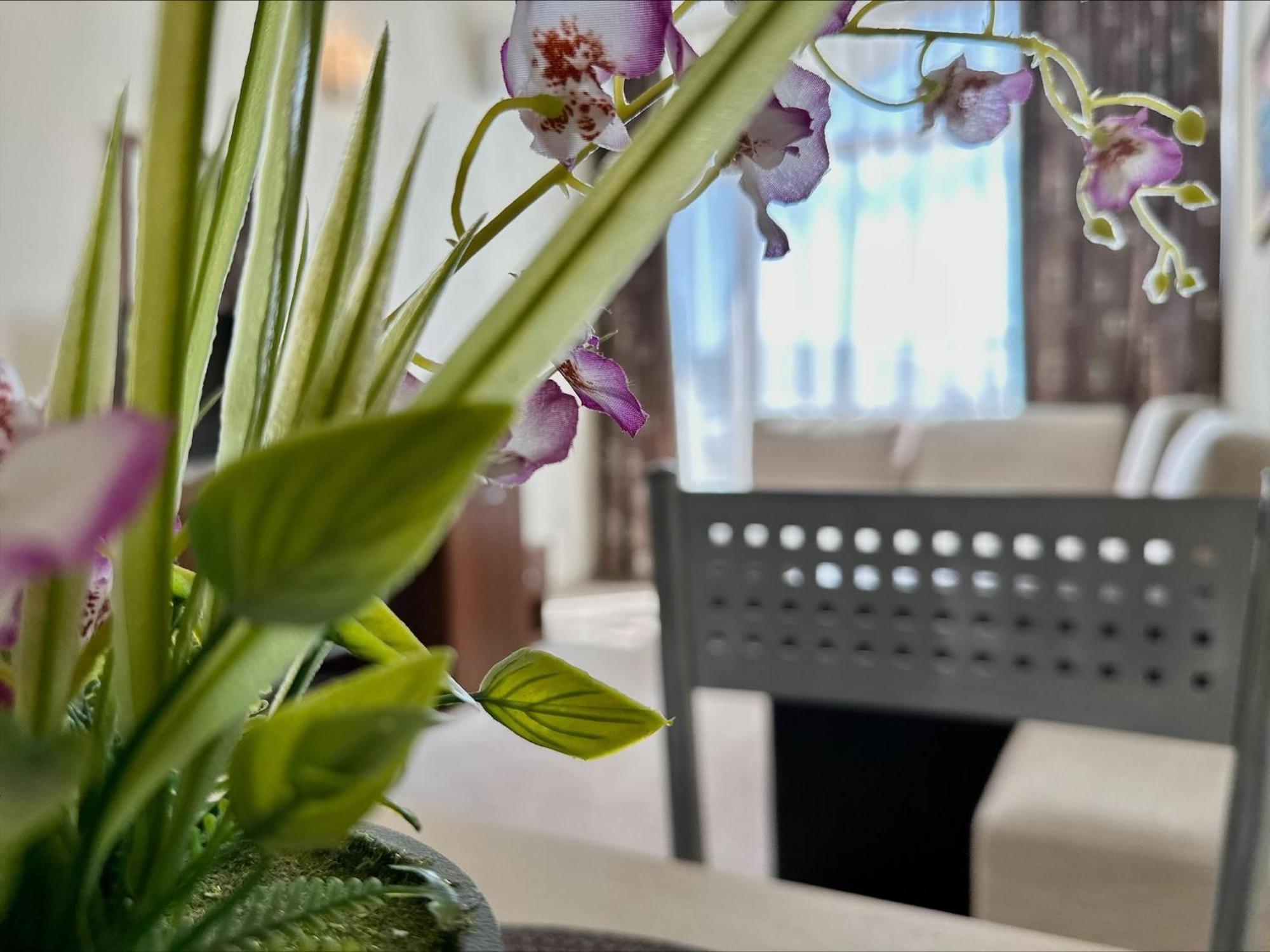 Grenada - Menada Apartments 阳光海滩 客房 照片