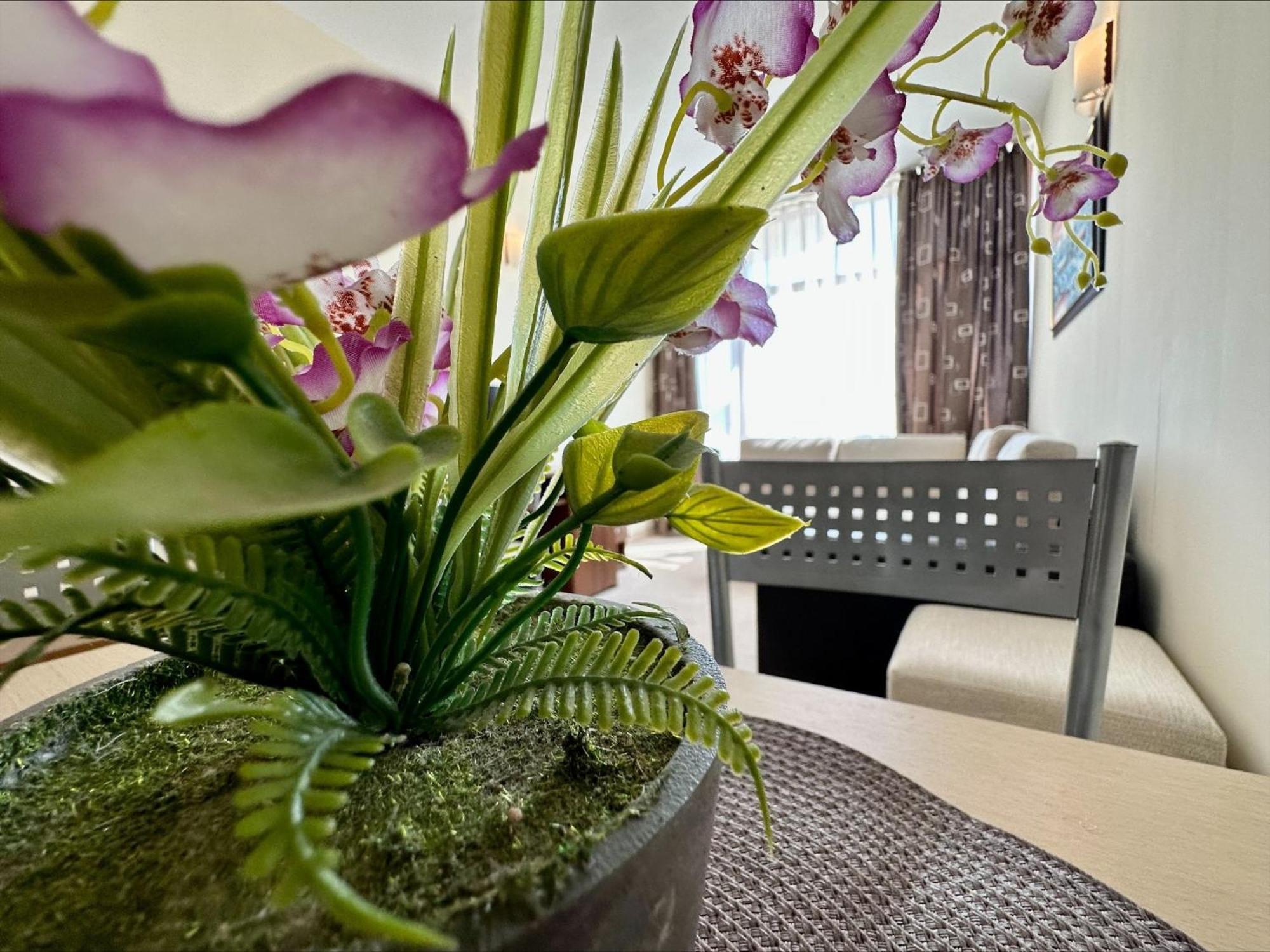 Grenada - Menada Apartments 阳光海滩 客房 照片